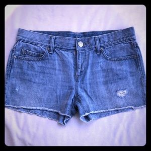 ANN TAYLOR LOFT DENIM JEAN SHORTS